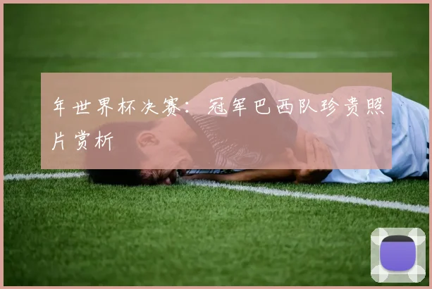 年世界杯决赛:冠军巴西队珍贵照片赏析