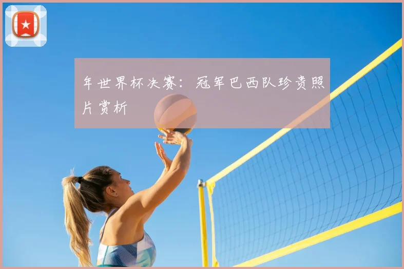年世界杯决赛:冠军巴西队珍贵照片赏析