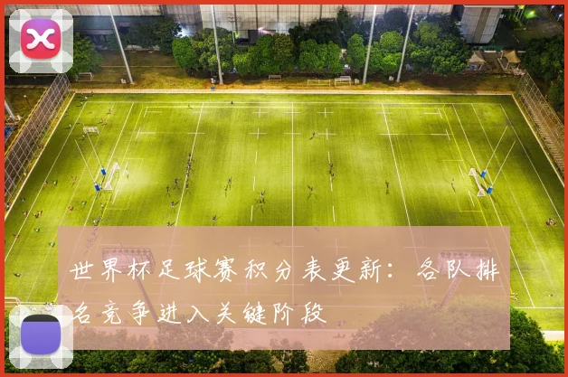 世界杯足球赛积分表更新:各队排名竞争进入关键阶段