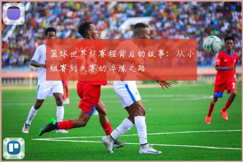 篮球世界杯赛程背后的故事：从小组赛到决赛的淬炼之路
