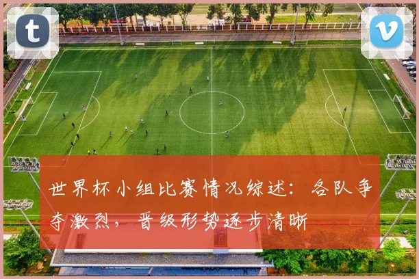 世界杯小组比赛情况综述:各队争夺激烈,晋级形势逐步清晰