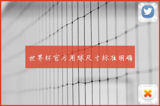 世界杯官方用球尺寸标准明确