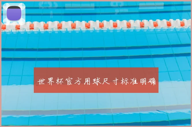 世界杯官方用球尺寸标准明确
