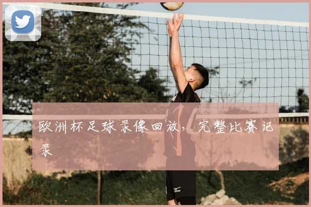 欧洲杯足球录像回放,完整比赛记录