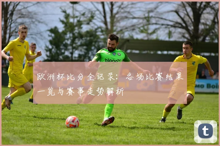 欧洲杯比分全记录：各场比赛结果一览与赛事走势解析