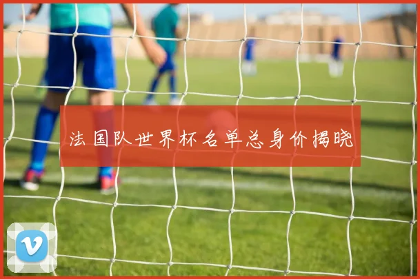法国队世界杯名单总身价揭晓
