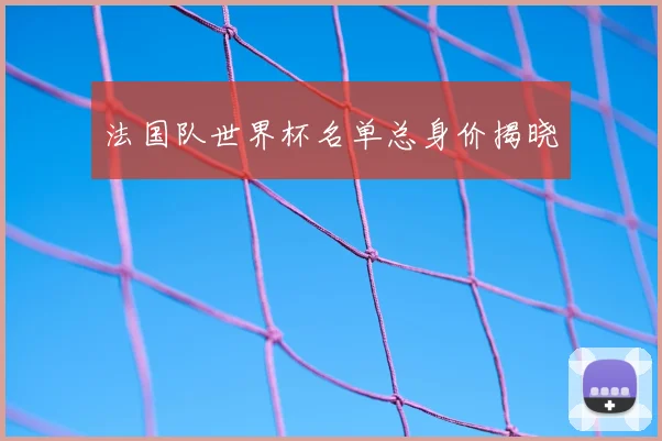 法国队世界杯名单总身价揭晓