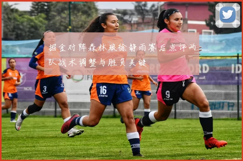 掘金对阵森林狼徐静雨赛后点评两队战术调整与胜负关键