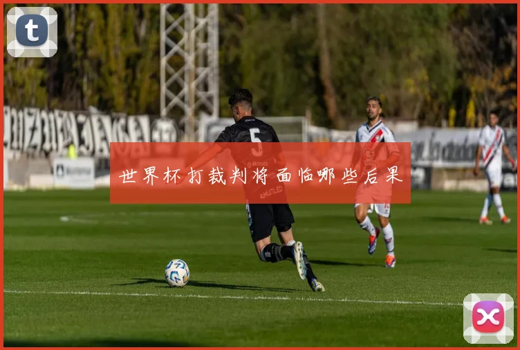 世界杯打裁判将面临哪些后果